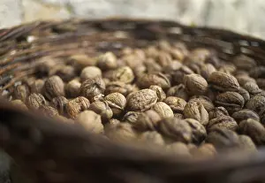 Regia: Walnut