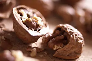 Regia: Walnut, Juglans regia, Brown subject