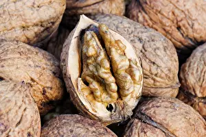 Walnuts: Walnuts - closeup of basket with single fruit opened