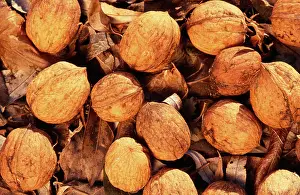 Walnuts: Walnuts - on soil, c/u