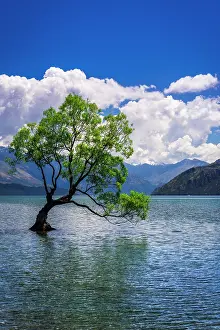 Hemisphere: The Wanaka tree, Lake Wanaka, Otago, South Island