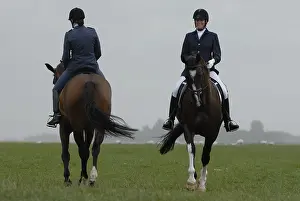 Competitions: Warm horse before a dressage test