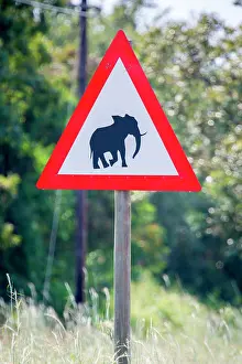 Information: Warning sign, Warning of wild elephants, Manyeleti