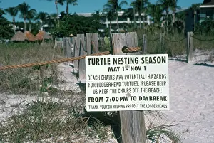 Caretta: Warning at Turtle Nesting Area
