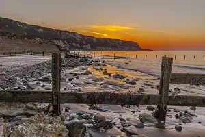 Warren: The Warren - seascape with beach and white chalk