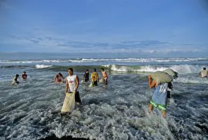Ridley: Washing Olive Ridley Turtle eggs