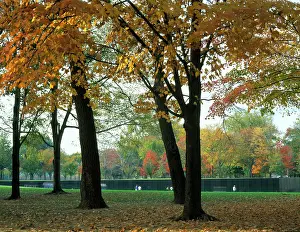 Hardwood: WASHINGTON, D.C. USA. Vietnam Veterans Memorial
