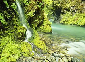 Freshness: Washington, Olympic National Park, Waterfall