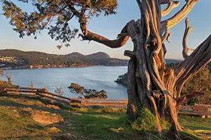County: Washington Park Anacortes, Washington State
