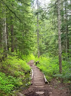 Snoqualmie: Washington State, Central Cascades, Trail to Pratt Ridge
