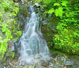 Snoqualmie: Washington State, Central Cascades, Waterfall, on