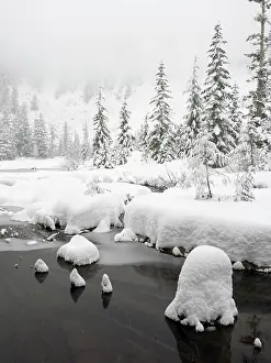 Snoqualmie: Washington State, Central Cascades. Winter scene