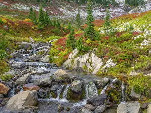 Paradise: Washington State, Mount Rainier National Park. Edith