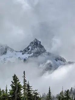 Pinnacle: Washington State, Mount Rainier National Park. Tatoosh