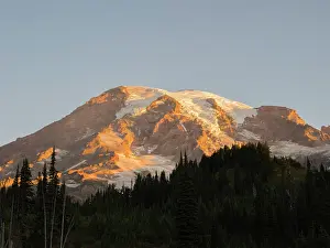 Paradise: Washington State, Mount Rainier National Park. Mount