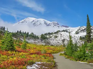 Paradise: Washington State, Mount Rainier National Park. Mount
