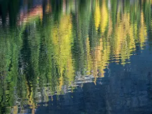 Jamie: Washington State, North Cascades, Blue Lake, Larch