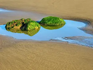 Danita Delimont: Washington State, USA. Olympic National Park, Second Beach