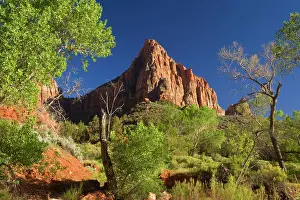 Zion: The Watchman - this mountain is a famous landmark