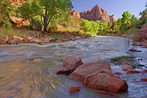 Zion: The Watchman - Virgin River flowing through Zion