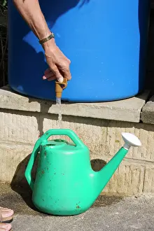 Butt: Water conservation - woman filling watering can