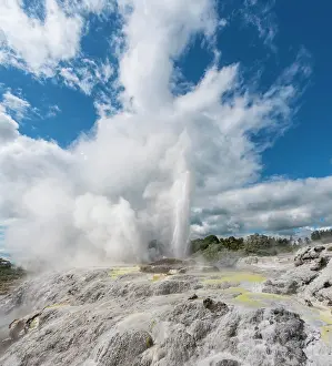 Fountain: Water fountain and vapor, Pohutu Geyser and Prince