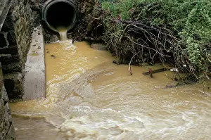 Drainage: Water Pollution