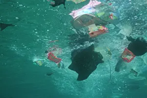 Valerie & Ron Taylor: Water POLLUTION - rubbish floating in ocean. Plastic