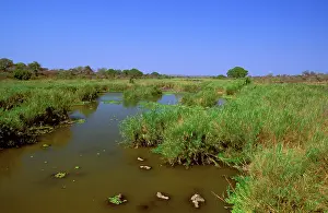 Transvaal: Water Pool - Transvaal