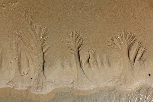 Rivulet: Water Rivulets - in the sand on beach at low tide