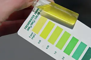 Quality: Water Sample with Ammonia Color Chart