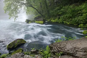 Aqua: Water From an Underground Spring