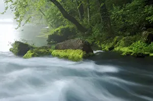 Aqua: Water From an Underground Spring
