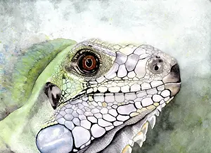 Typical: Watercolour painting of a lizard in shades of green and