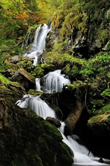 Streaming: Waterfall in autumn forest