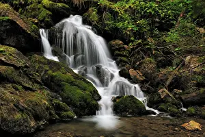 Streaming: Waterfall in autumn forest