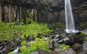 Svartifoss: Waterfall over a basaltformation