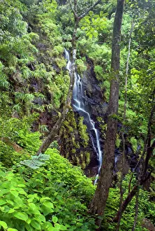 Ferney: A waterfall in Ferney Forest