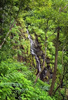 Ferney: A waterfall in Ferney Forest
