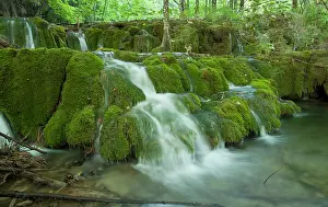 Plitvice: Waterfall in forest