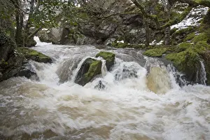 Flood: Waterfall. Gilfach nature reserve, Mid Wales, River