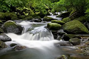 Eire: Waterfall in Killarney National Park, Killarney