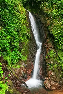 Flowing: Waterfall at Mistico Hanging Bridges, Alajuela Province