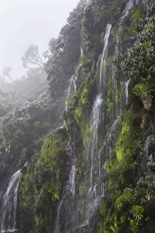 Enchanting: Waterfall in Mobuku valley, Rwenzori, Uganda