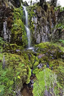 Enchanting: Waterfall in the Mogusu Valley Rwenzori
