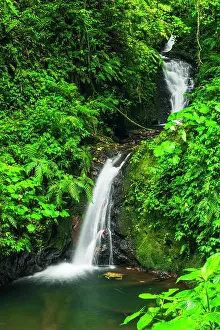 Flowing: Waterfall in Monte Verde Cloud Forest Preserve, Alajuela