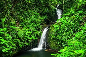 Flowing: Waterfall in Monte Verde Cloud Forest Preserve, Alajuela