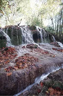 Frederic Rolland: WATERFALL - mossy with leaves