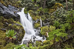 Albertine: Waterfall at Mount Stanley, Ruwenzori, Uganda