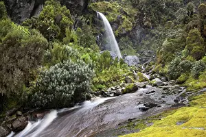 Albertine: Waterfall at Mount Stanley, Ruwenzori, Uganda